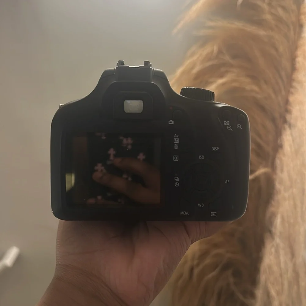 Canon EOS Rebel T100
